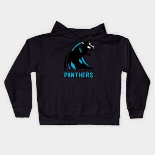 Michigan Panthers Kids Hoodie